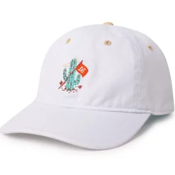 Accessories|Tour Threads|Breakfast Balls ® "Coliseum Cactus" – Dad Hat
