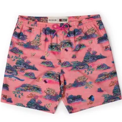 Finding Nemo|Disney & Pixar|Disney and Pixar Finding Nemo "Anemone-nie" – Hybrid Shorts
