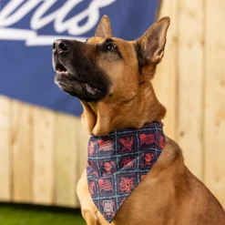 Dog Bandanas|Accessories|RSVLTS Grillaxin’ – Dog Bandana