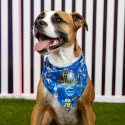 Dog Bandanas|Star Wars|Star Wars ™ 