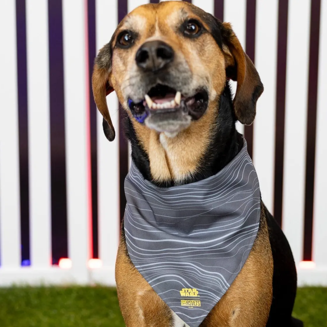 Dog Bandanas|The Mandalorian|Star Wars ™ Mandalorian™ "Beskar Steel" – Dog Bandana
