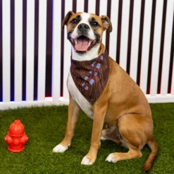 Dog Bandanas|Star Wars|Star Wars ™ "The Chewie" – Dog Bandana