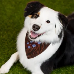 Dog Bandanas|Star Wars|Star Wars ™