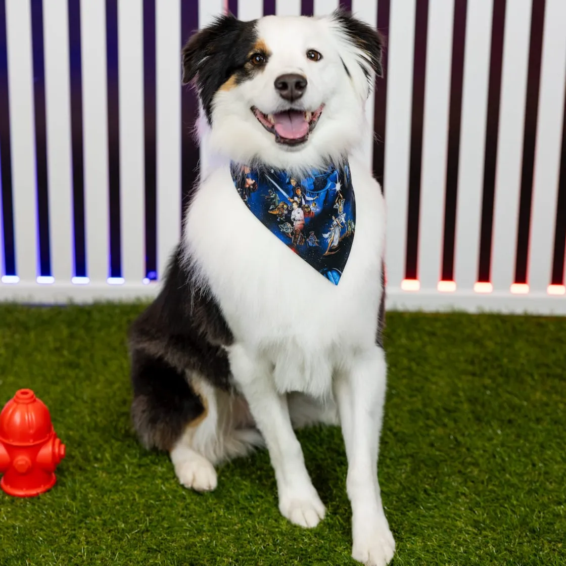 Dog Bandanas|Star Wars|Star Wars ™ "The Trilogy" – Dog Bandana