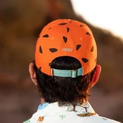 Accessories|Greatest Hits|The Flintstones