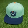 Nickelodeon|Accessories|Nickelodeon TLB New York Vigilantes – Snapback Cap